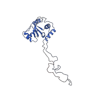 10898_6ysi_C_v1-1
Acinetobacter baumannii ribosome-tigecycline complex - 50S subunit