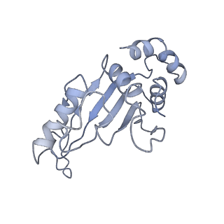 10898_6ysi_D_v1-1
Acinetobacter baumannii ribosome-tigecycline complex - 50S subunit