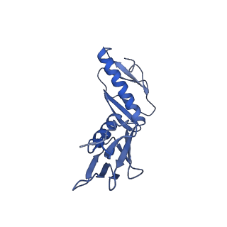 10898_6ysi_E_v1-1
Acinetobacter baumannii ribosome-tigecycline complex - 50S subunit