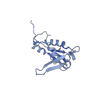 10898_6ysi_F_v1-1
Acinetobacter baumannii ribosome-tigecycline complex - 50S subunit