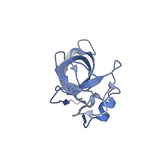 10898_6ysi_G_v1-1
Acinetobacter baumannii ribosome-tigecycline complex - 50S subunit
