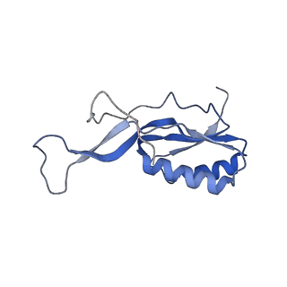 10898_6ysi_I_v1-1
Acinetobacter baumannii ribosome-tigecycline complex - 50S subunit