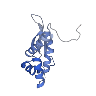 10898_6ysi_J_v1-1
Acinetobacter baumannii ribosome-tigecycline complex - 50S subunit