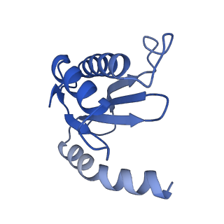 10898_6ysi_K_v1-1
Acinetobacter baumannii ribosome-tigecycline complex - 50S subunit