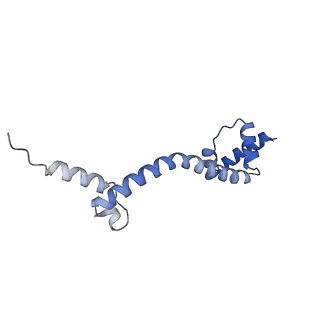 10898_6ysi_M_v1-1
Acinetobacter baumannii ribosome-tigecycline complex - 50S subunit