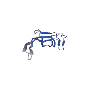 10898_6ysi_N_v1-1
Acinetobacter baumannii ribosome-tigecycline complex - 50S subunit