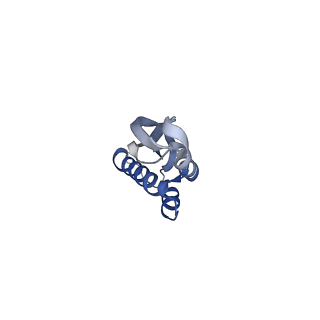 10898_6ysi_O_v1-1
Acinetobacter baumannii ribosome-tigecycline complex - 50S subunit