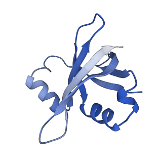 10898_6ysi_R_v1-1
Acinetobacter baumannii ribosome-tigecycline complex - 50S subunit