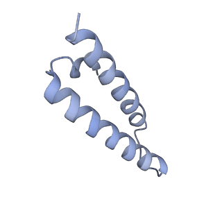10898_6ysi_U_v1-1
Acinetobacter baumannii ribosome-tigecycline complex - 50S subunit