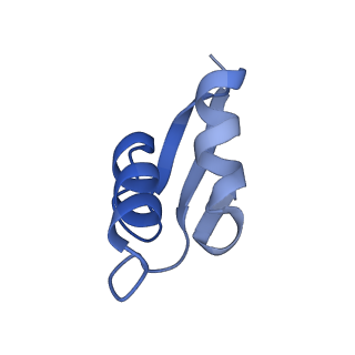 10898_6ysi_V_v1-1
Acinetobacter baumannii ribosome-tigecycline complex - 50S subunit
