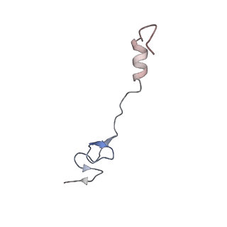 10898_6ysi_X_v1-1
Acinetobacter baumannii ribosome-tigecycline complex - 50S subunit