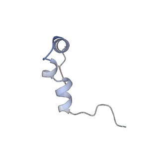 10898_6ysi_Z_v1-1
Acinetobacter baumannii ribosome-tigecycline complex - 50S subunit