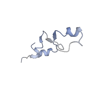 10898_6ysi_a_v1-1
Acinetobacter baumannii ribosome-tigecycline complex - 50S subunit