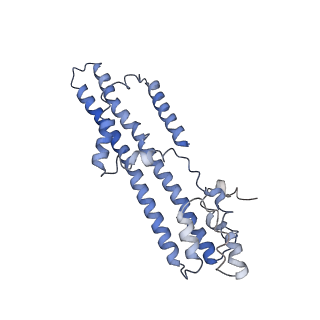 10899_6ysl_G_v1-2
Structure of the flagellar MotAB stator complex from Bacillus subtilis