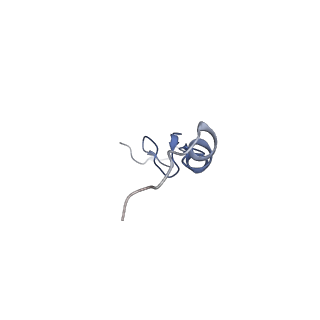10905_6ysr_0_v1-1
Structure of the P+9 stalled ribosome complex