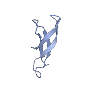 10905_6ysr_1_v1-1
Structure of the P+9 stalled ribosome complex