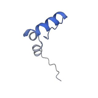 10905_6ysr_2_v1-1
Structure of the P+9 stalled ribosome complex