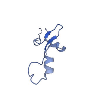 10905_6ysr_3_v1-1
Structure of the P+9 stalled ribosome complex