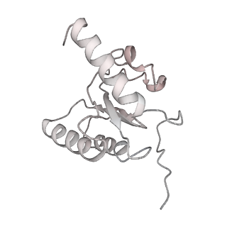 10905_6ysr_5_v1-1
Structure of the P+9 stalled ribosome complex