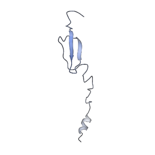 10905_6ysr_6_v1-1
Structure of the P+9 stalled ribosome complex
