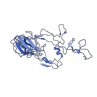 10905_6ysr_C_v1-1
Structure of the P+9 stalled ribosome complex