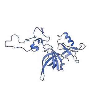 10905_6ysr_D_v1-1
Structure of the P+9 stalled ribosome complex
