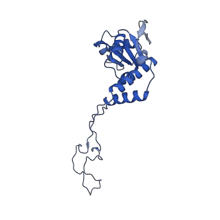 10905_6ysr_E_v1-1
Structure of the P+9 stalled ribosome complex