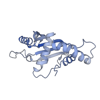 10905_6ysr_F_v1-1
Structure of the P+9 stalled ribosome complex