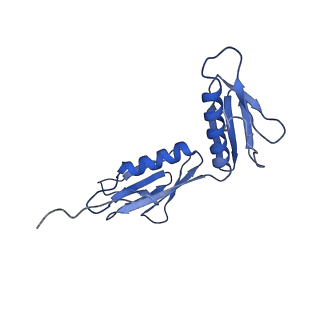 10905_6ysr_G_v1-1
Structure of the P+9 stalled ribosome complex