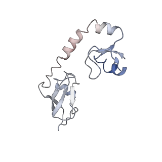 10905_6ysr_H_v1-1
Structure of the P+9 stalled ribosome complex