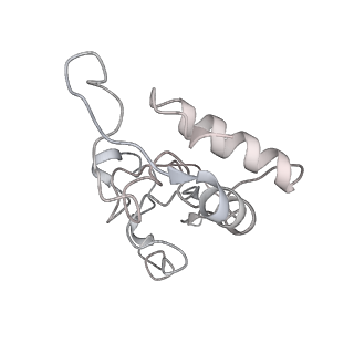 10905_6ysr_I_v1-1
Structure of the P+9 stalled ribosome complex