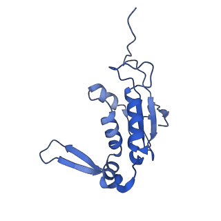10905_6ysr_J_v1-1
Structure of the P+9 stalled ribosome complex
