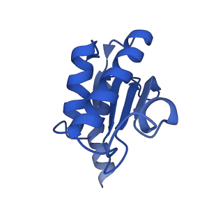 10905_6ysr_O_v1-1
Structure of the P+9 stalled ribosome complex