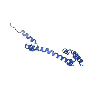 10905_6ysr_Q_v1-1
Structure of the P+9 stalled ribosome complex