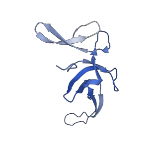 10905_6ysr_U_v1-1
Structure of the P+9 stalled ribosome complex