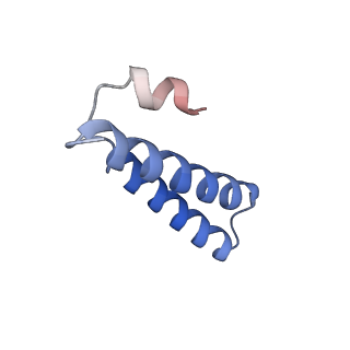 10905_6ysr_Y_v1-1
Structure of the P+9 stalled ribosome complex