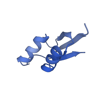 10905_6ysr_Z_v1-1
Structure of the P+9 stalled ribosome complex