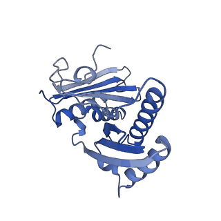 10905_6ysr_c_v1-1
Structure of the P+9 stalled ribosome complex