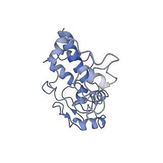 10905_6ysr_d_v1-1
Structure of the P+9 stalled ribosome complex