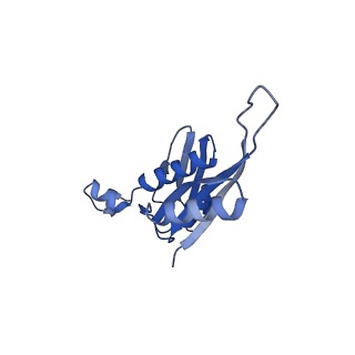 10905_6ysr_e_v1-1
Structure of the P+9 stalled ribosome complex