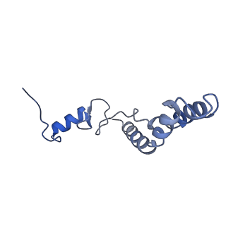 10905_6ysr_n_v1-1
Structure of the P+9 stalled ribosome complex
