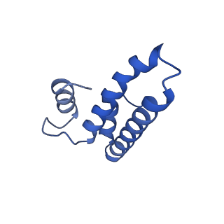 10905_6ysr_o_v1-1
Structure of the P+9 stalled ribosome complex