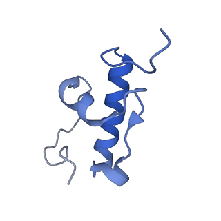 10905_6ysr_r_v1-1
Structure of the P+9 stalled ribosome complex