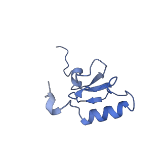 10905_6ysr_s_v1-1
Structure of the P+9 stalled ribosome complex