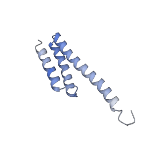 10905_6ysr_t_v1-1
Structure of the P+9 stalled ribosome complex