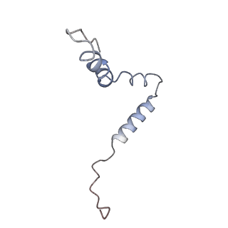 10905_6ysr_u_v1-1
Structure of the P+9 stalled ribosome complex