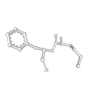 10905_6ysr_v_v1-1
Structure of the P+9 stalled ribosome complex
