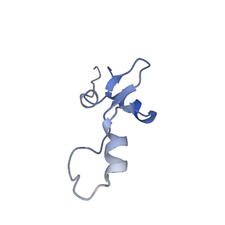 10906_6yss_3_v1-1
Structure of the P+9 ArfB-ribosome complex in the post-hydrolysis state