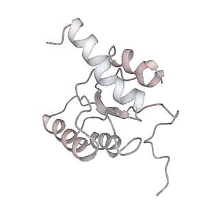 10906_6yss_5_v1-1
Structure of the P+9 ArfB-ribosome complex in the post-hydrolysis state