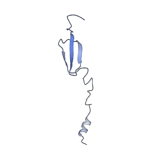 10906_6yss_6_v1-1
Structure of the P+9 ArfB-ribosome complex in the post-hydrolysis state